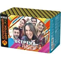 Встреча друзей New